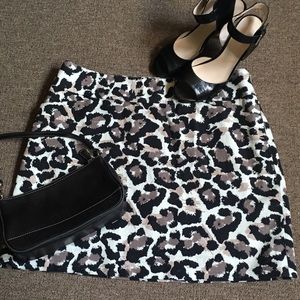 LOFT Animal Graphic Print Skirt Size 8P